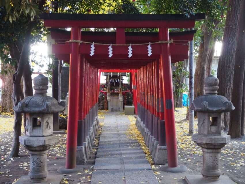 Hanazono Shrine: A Tranquil Oasis in the Heart of Shinjuku - Japan ...