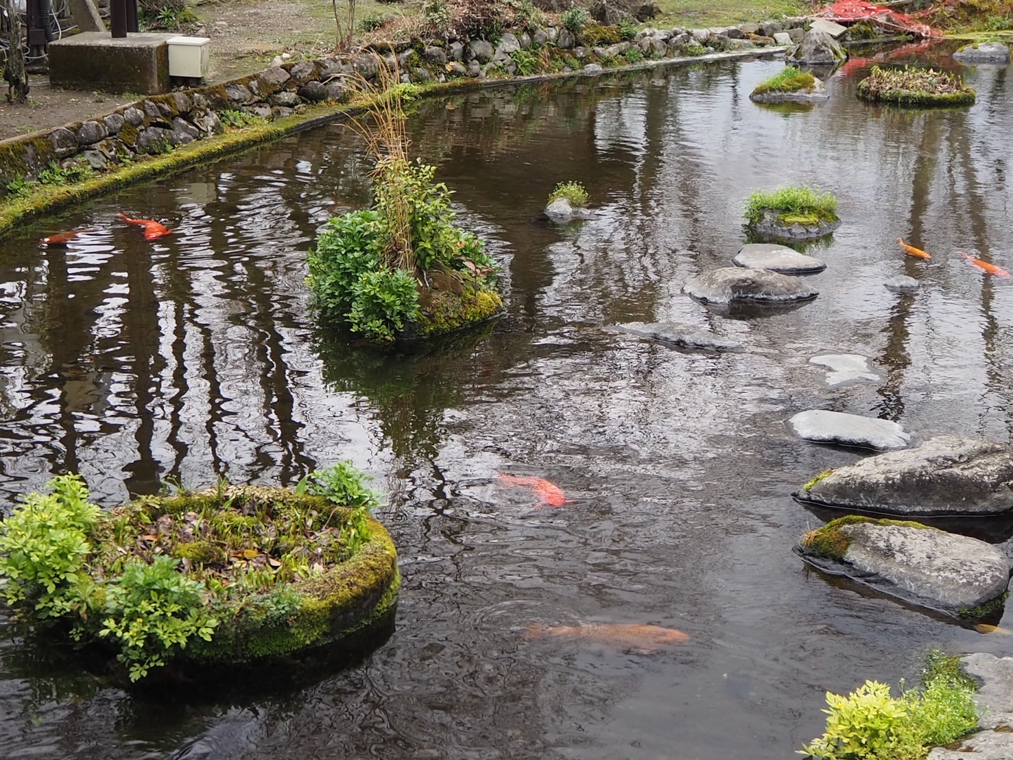 Aso shrine jinja pond