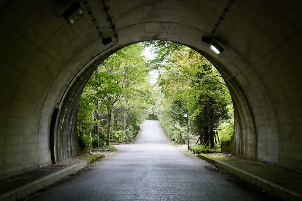 Tunnel leading into a lush green forest path