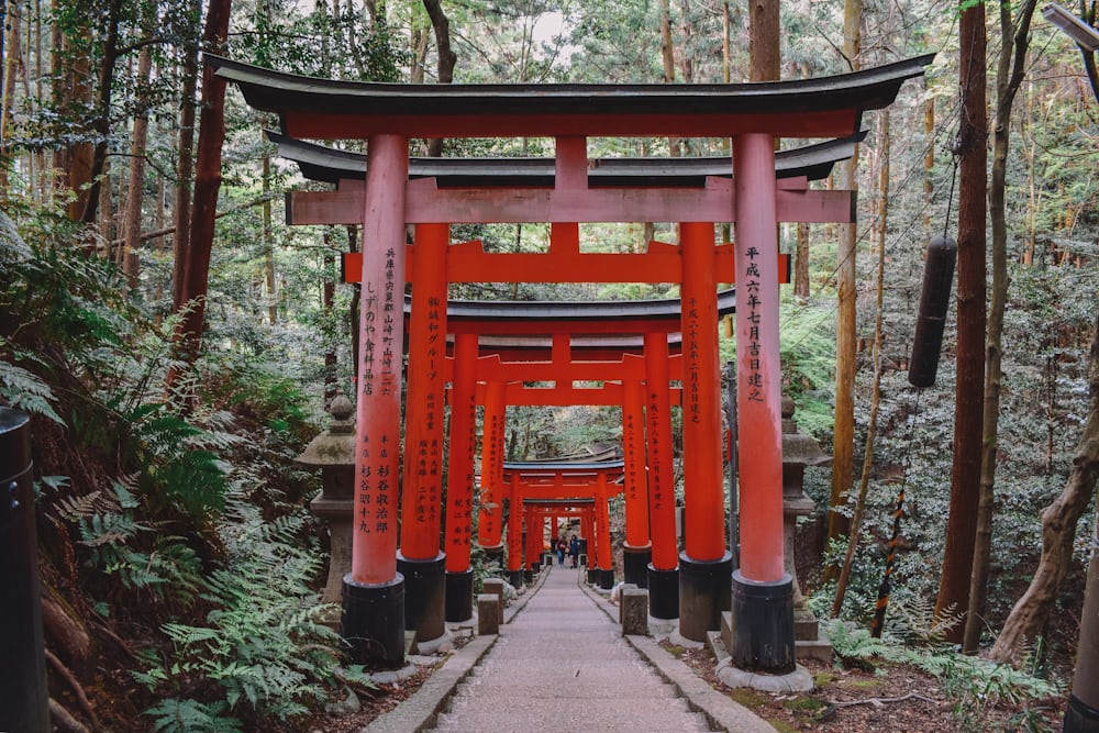 A path of red torii gates near trees in a Japanese shrine