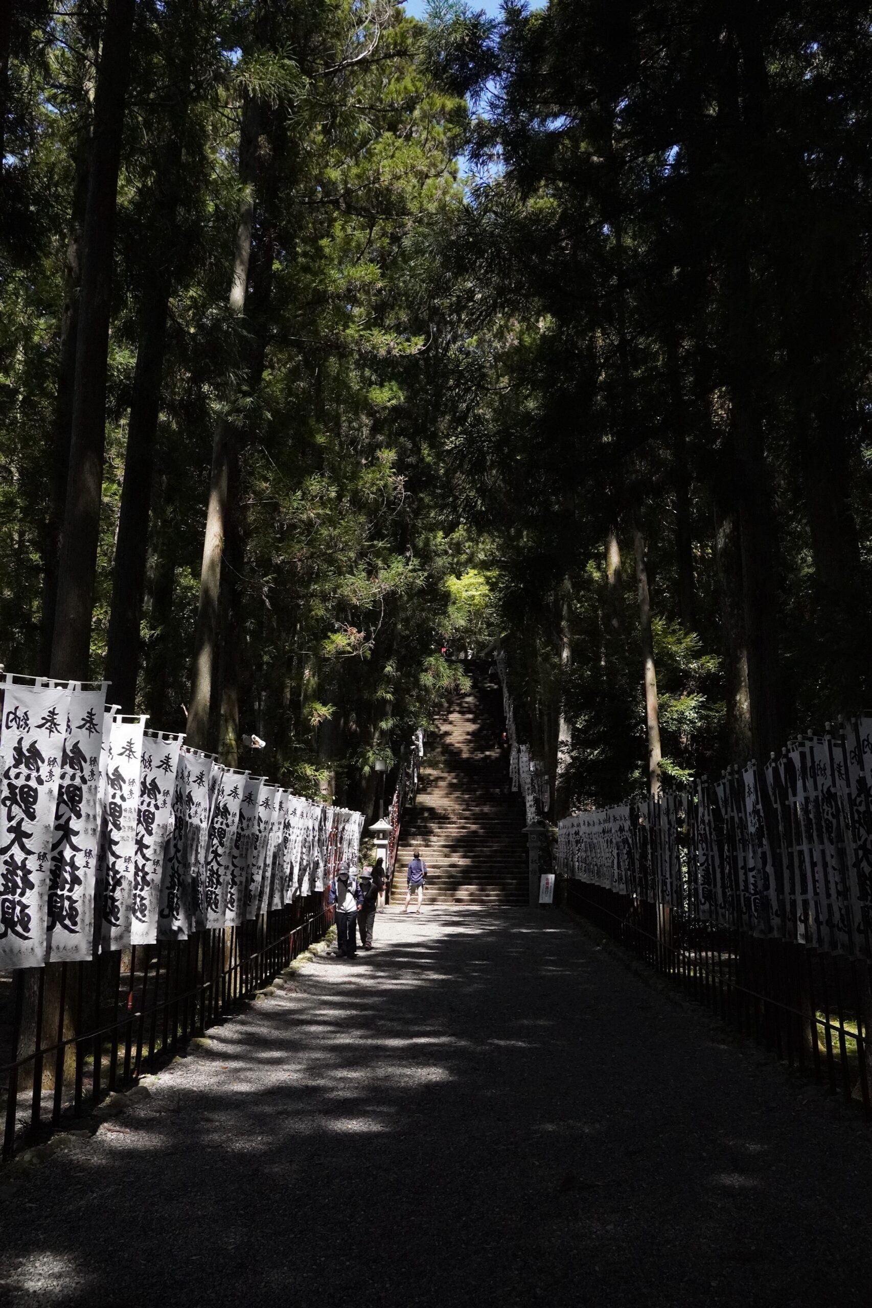 Stone staircase approach to Kumano Hongu Taisha lined with white festival banners beneath cedar trees