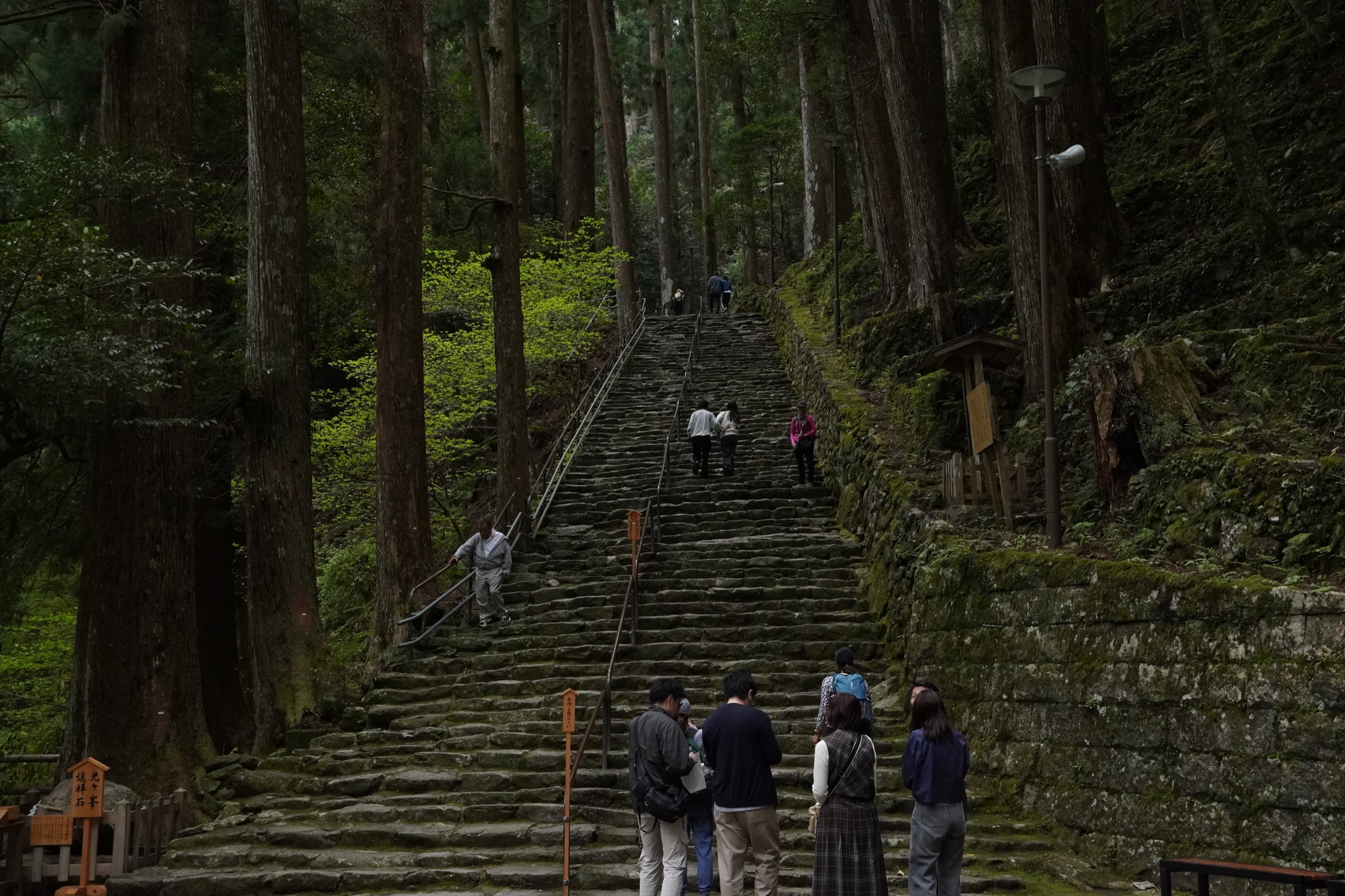The three-storied vermilion pagoda of Seiganto-ji beside Nachi Falls near Kumano Nachi Taisha